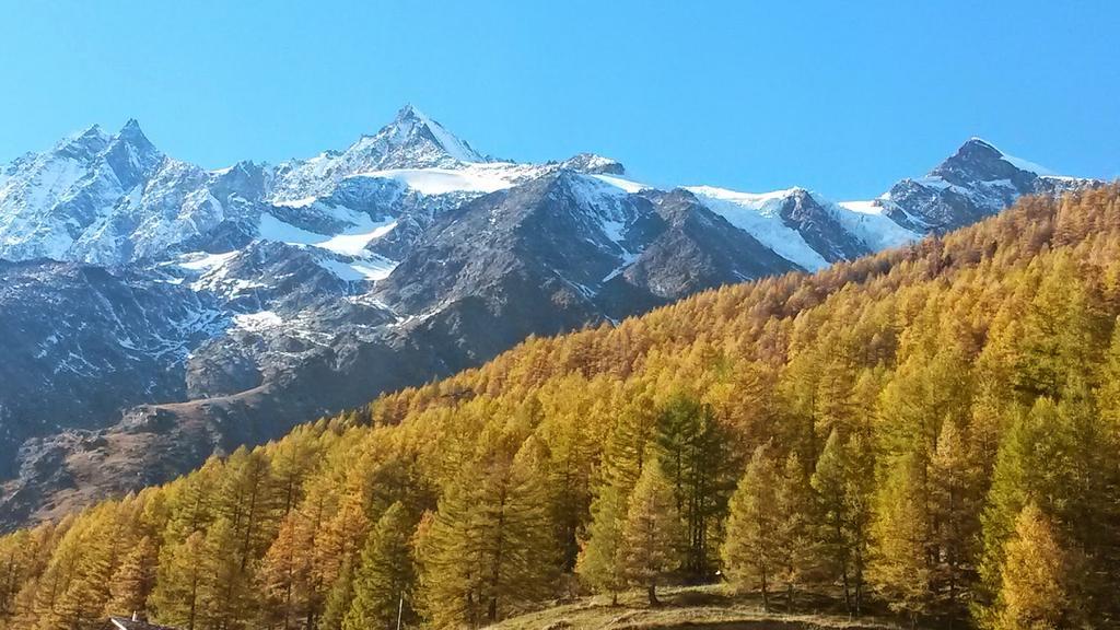 Ferienhaus Antigua Saas-Grund Luaran gambar